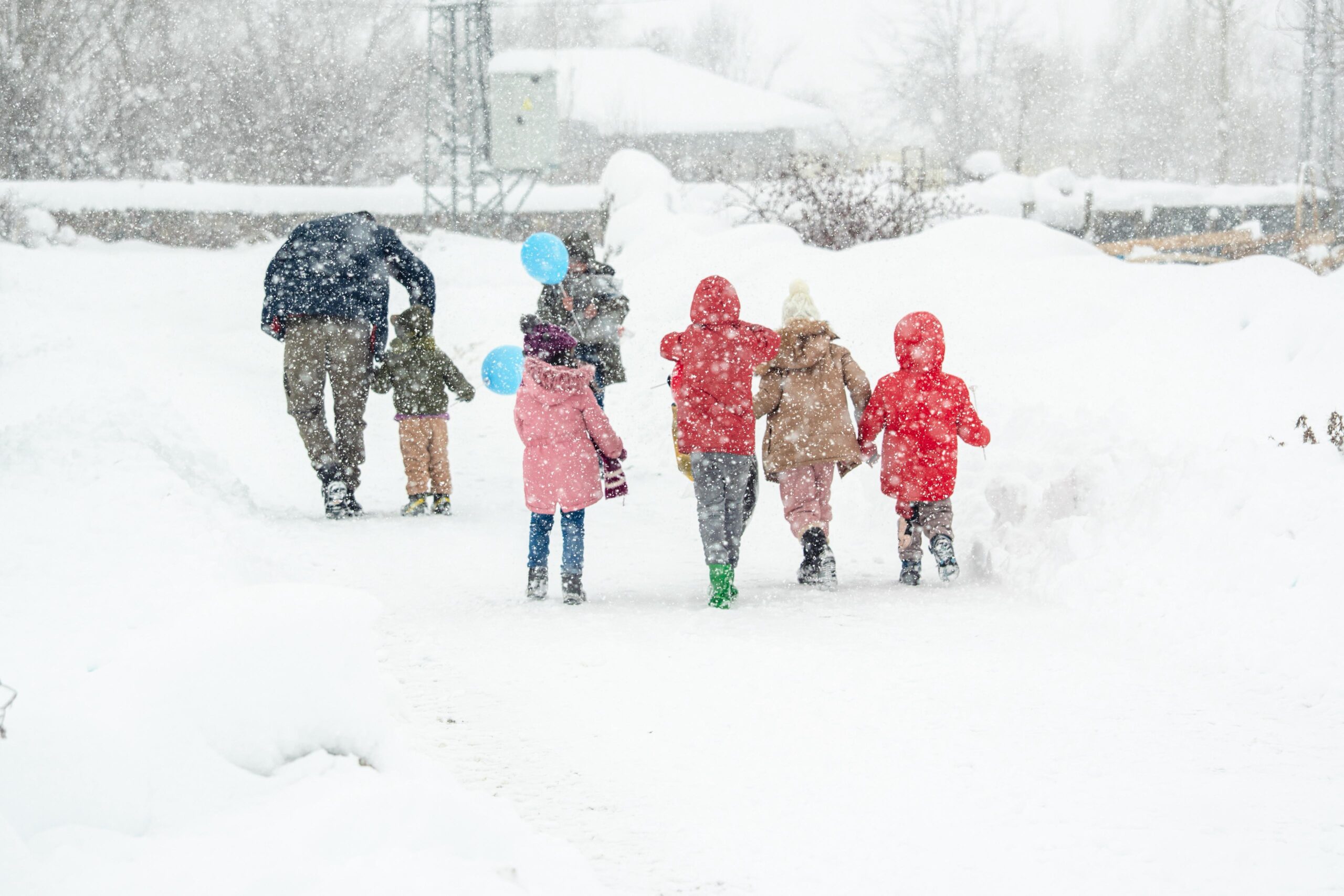 whatsapp image 2026 01 24 at 20.40.58